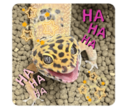 769456044