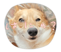 769456629