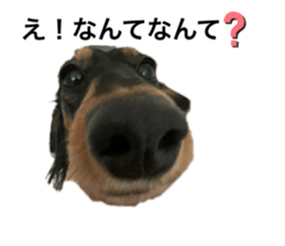 769457667