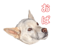 769488716