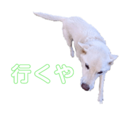 769488719