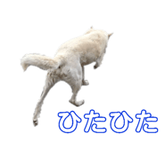769488723