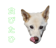 769488727