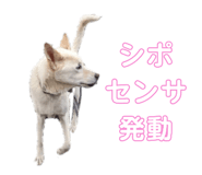 769488734