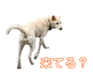 769488735
