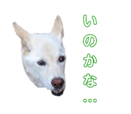 769488736