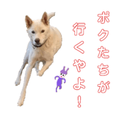 769488739