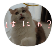 769499087