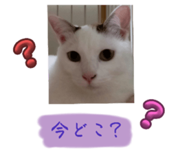 769499861