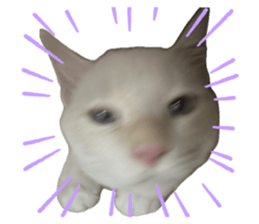 769500146