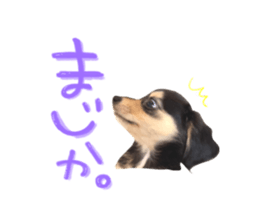 769503805