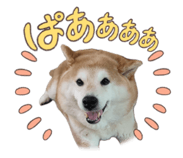 769505472