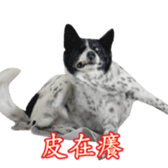 769507303