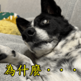 769507311