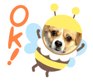 769510137
