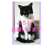 769510366