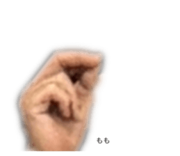 769513074