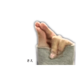 769513076