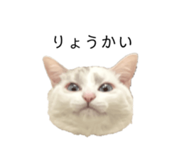 769514416