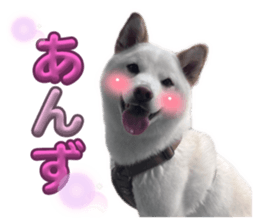 769514990