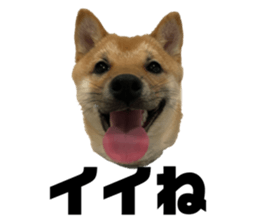769530929