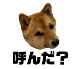 769530941