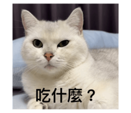 769534324