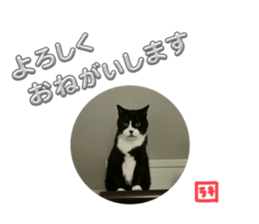 769535446