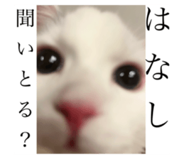 769538362