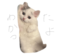 769538365