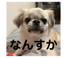 769538879