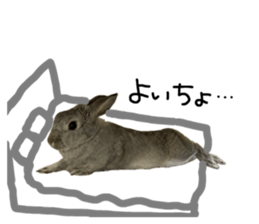 769553711