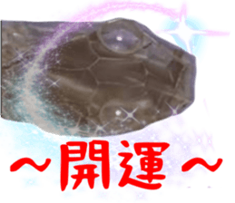 769555863