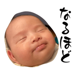 769556726