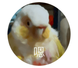 769558783