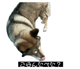 769563907
