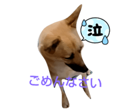 769564672