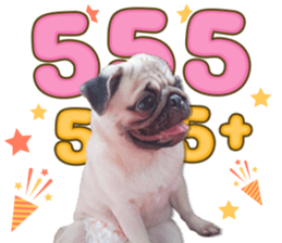 769579032