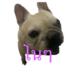 769579803