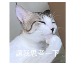 769590948