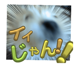 769592296