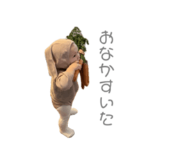 769616252