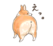 769616675