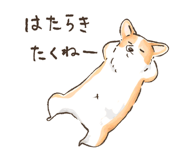 769616676