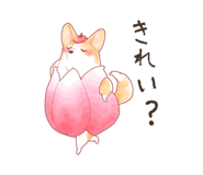 769616678