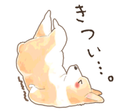 769616689