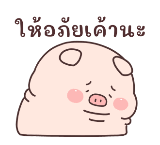 ลายที่ 19