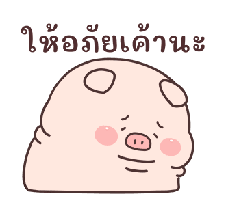 ลายที่ 10