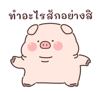 ลายที่ 17