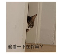 769646113